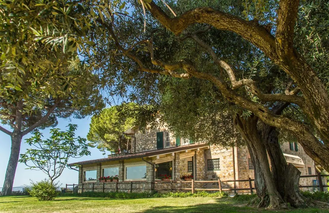 Fattoria di Magliano Winery-1