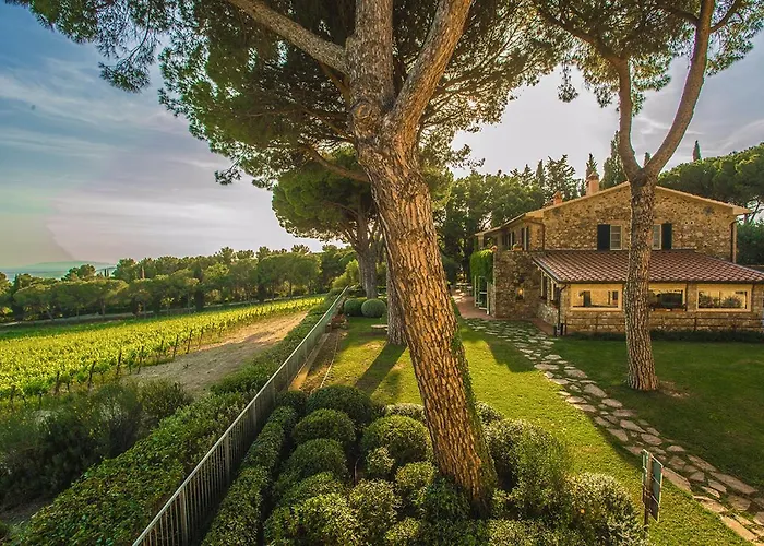 Fattoria Di Magliano Winery