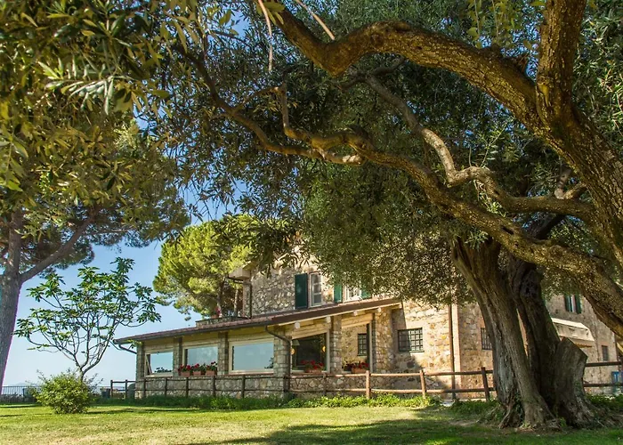 Fattoria Di Magliano Winery